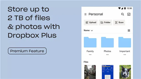 Dropbox2025����