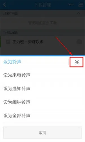 �ṷ����2025����