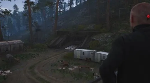 scum2025����