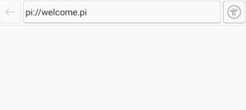 Pi Browser(�๦�������)