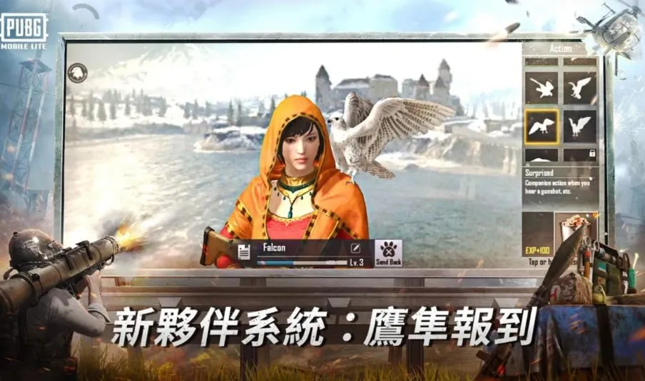 PUBG MOBILE LITE(�����Լ���Ϸ)v0.27.0 �ֻ���