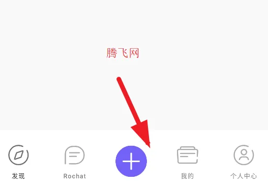 Rochat2025�ٷ�����