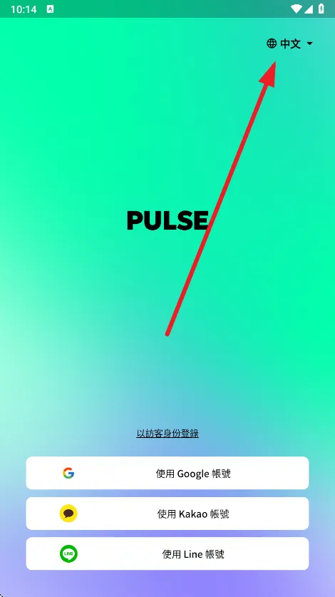 Pulse2025����