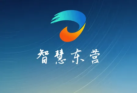 �ǻ۶�Ӫ2025�ٷ�����