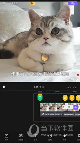 VivaCut2025���°汾