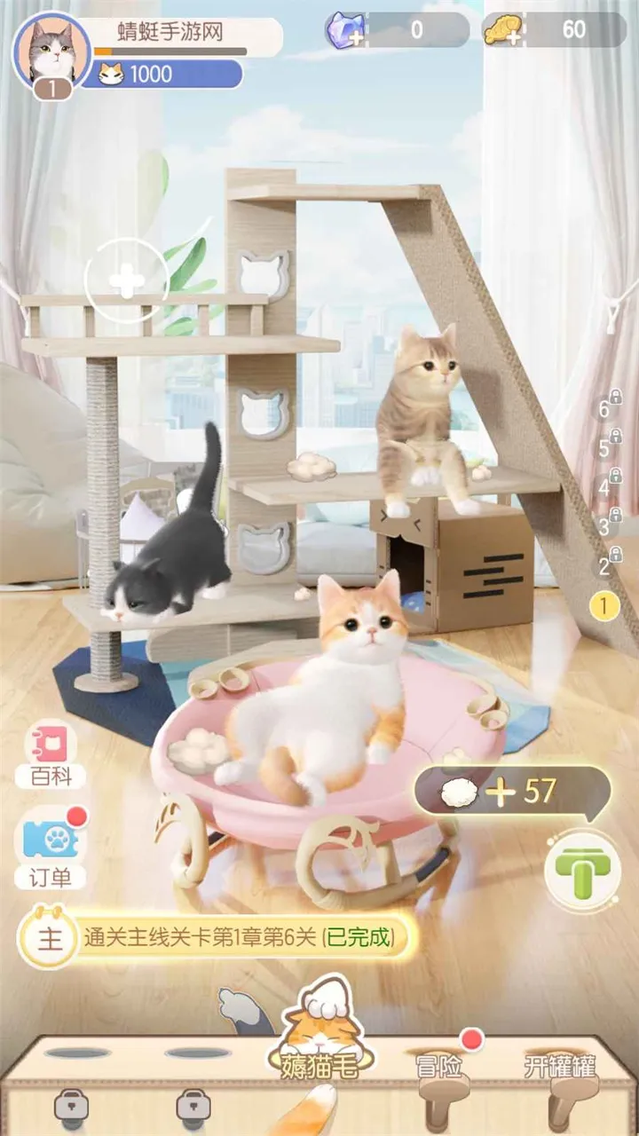�����Ǽƻ�(è��������Ϸ)