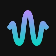 Wavelet2025�ٷ����°汾v25.12 �ٷ�����