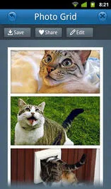 PhotoGrid(ͼƬ�༭����)v7.55 ��׿��