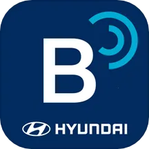 Bluelink(����Զ�̿���)v5.03 �ֻ���