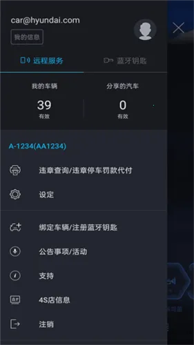 Bluelink(����Զ�̿���)