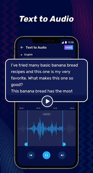 Audio Editor(��Ƶ�༭����)