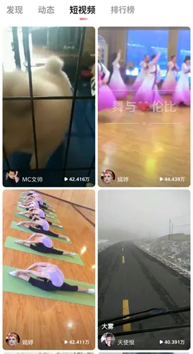 ��������2026���°汾