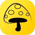 Ģ����(ʵϰ��ҵƽ̨)v4.1.1 ��׿��