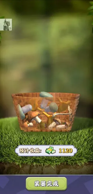 �������(ģ���ɽ��Ӫ)