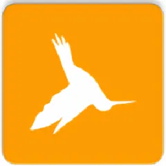 HttpCanary�����ֻ���v9.9.9.9 ��׿��