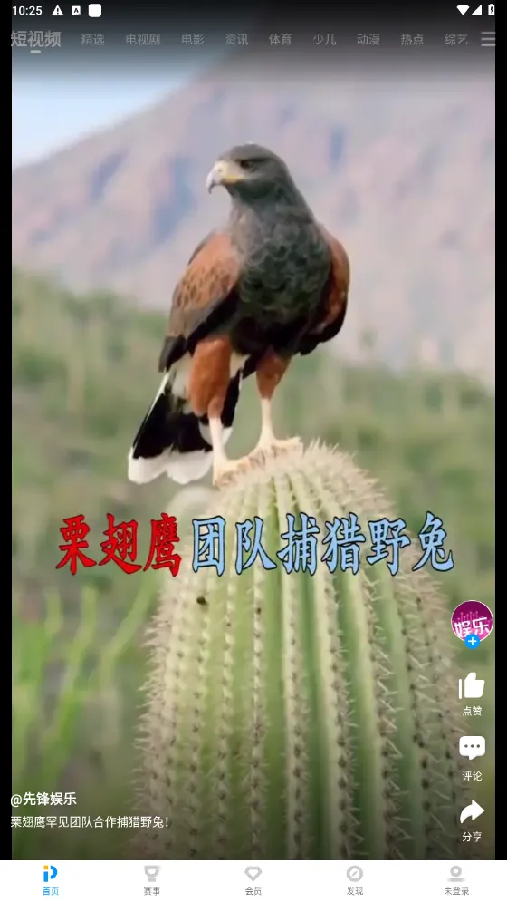 PP��Ƶ2025���°汾