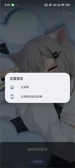 ������Ƶ��ֽ