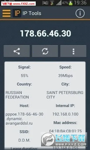 IP Tools2026����v9.4.6 �ֻ���