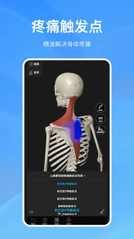 ���ʴ�ʦv5.3.0 �ٷ�����