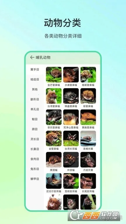 ����ٿ�v4.1.5 ��׿��
