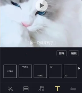 ��Ƶ������