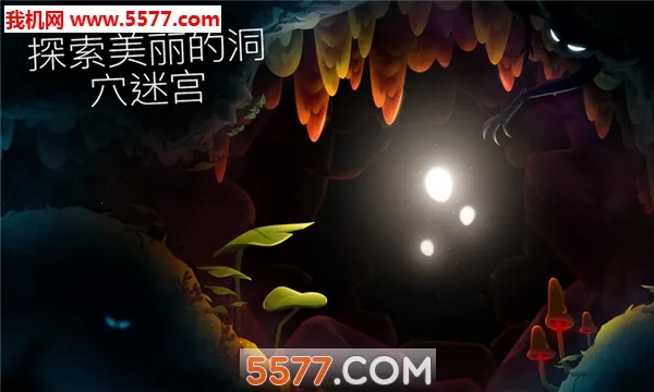 SHINE(Ӣ����Ѷƽ̨)v2.5.10 ��Ѱ�